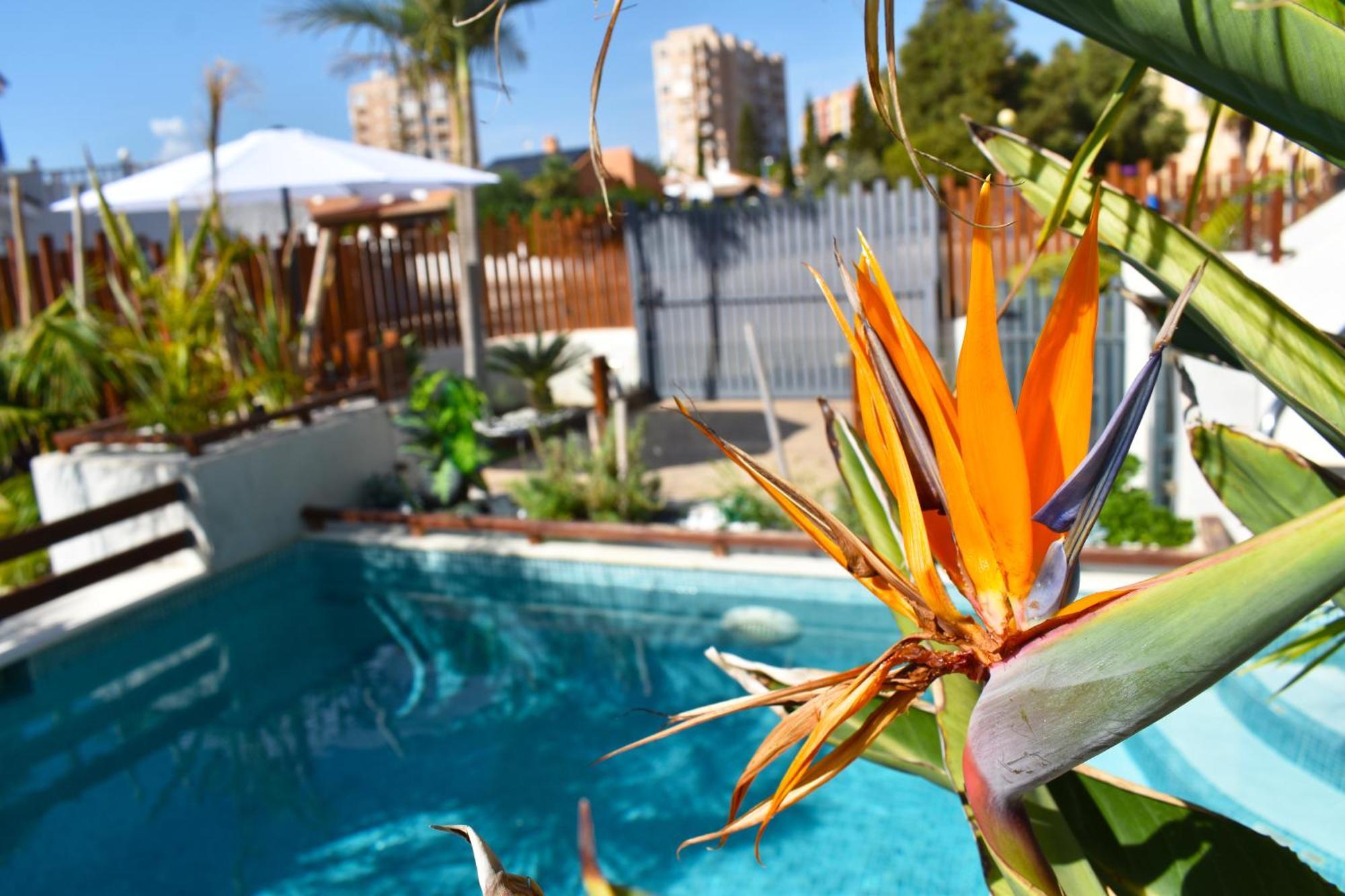 Alaïa Apartamentos Playa Paraiso  Extérieur photo
